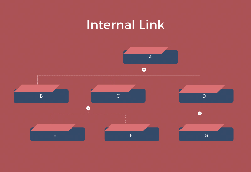 Internal Link: Sức mạnh bị đánh giá thấp trong SEO.
