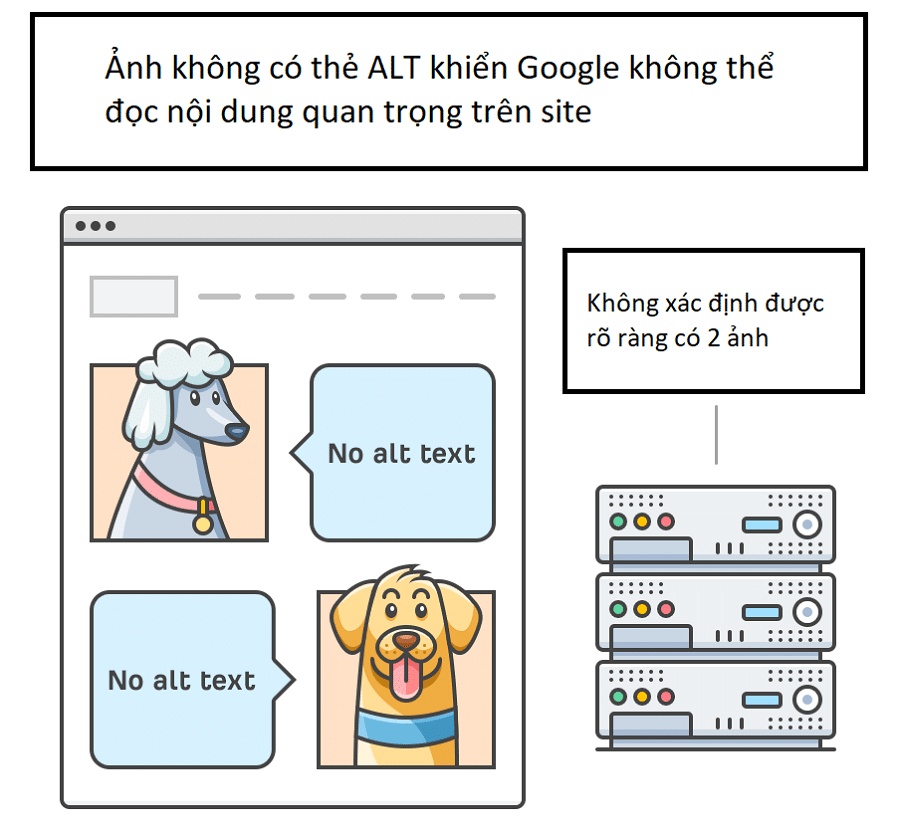 Thẻ ALT giúp Google hiểu được nội dung hình ảnh