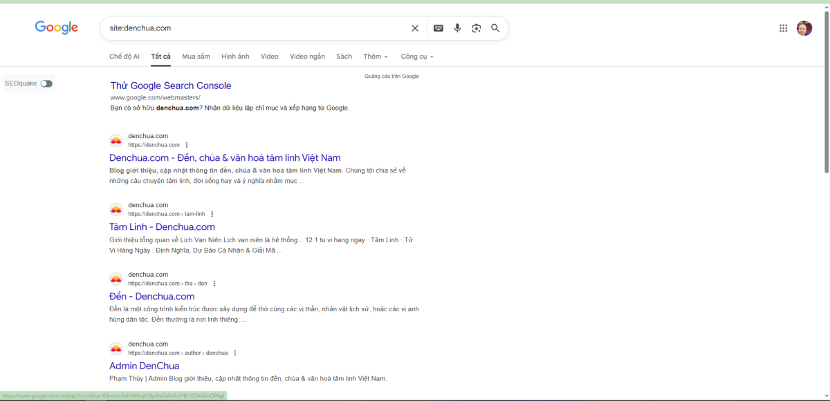 Khi kiểm tra bằng site:tenmien.com thấy google index mà các từ khóa mục tiêu ngoài top 100 là website bạn đang có dấu hiệu bị sandbox
