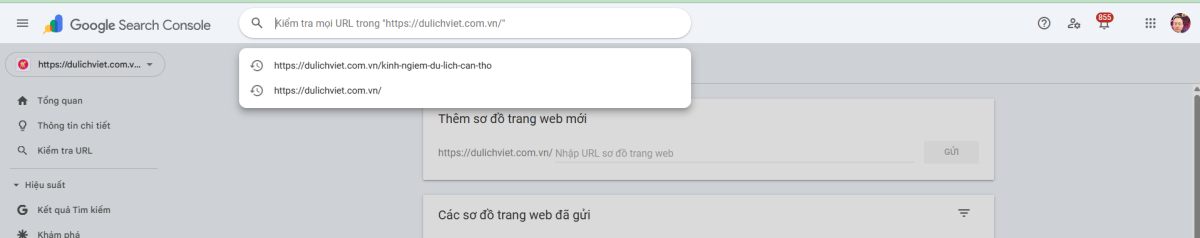 Submit URL thủ công