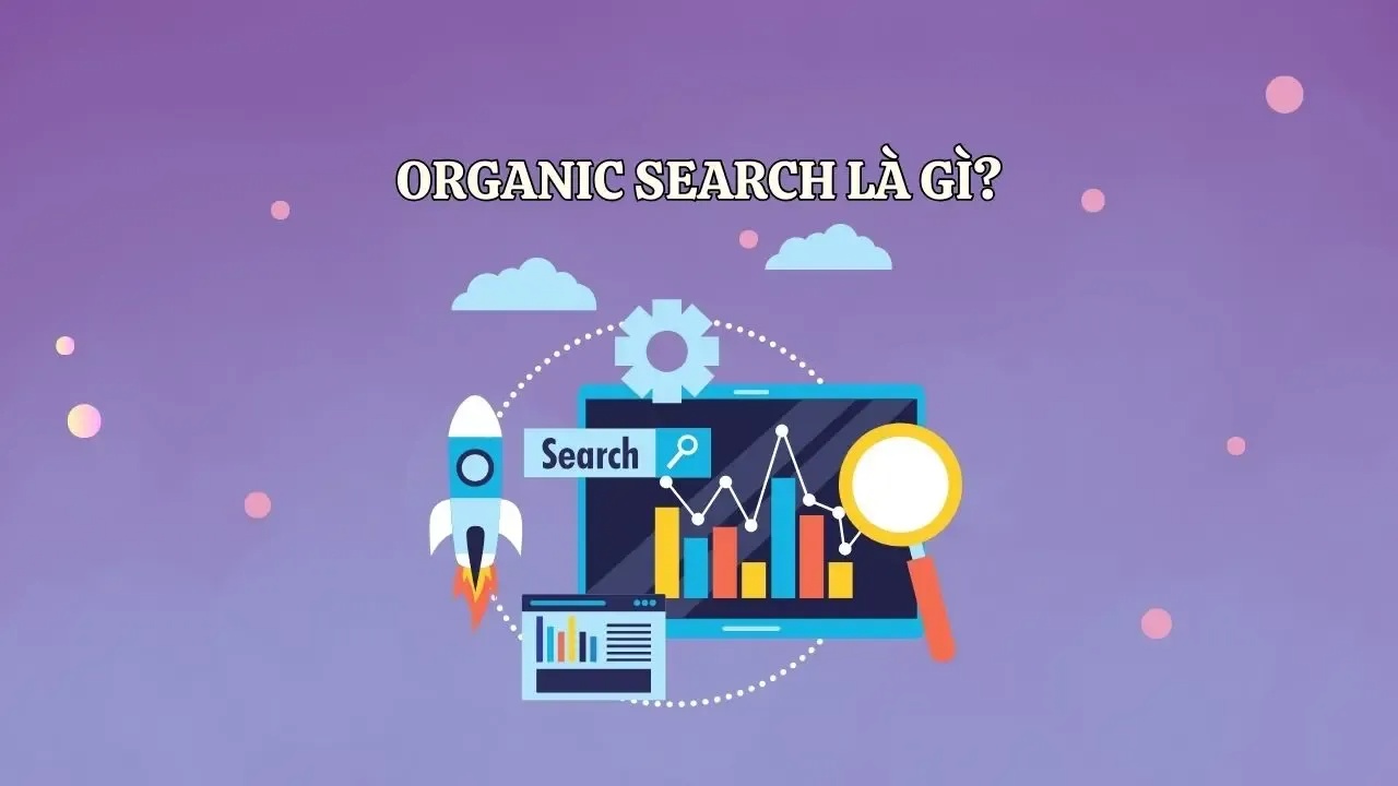 Organic Search là gì? Cách tăng lượt tìm kiếm tự nhiên cho Web