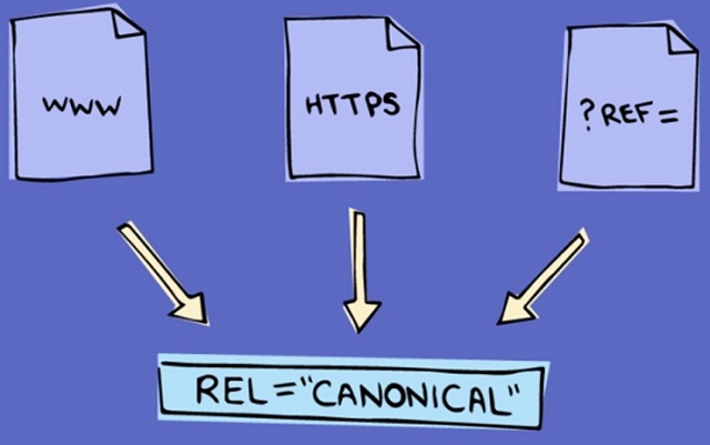Thẻ Canonical Là Gì?